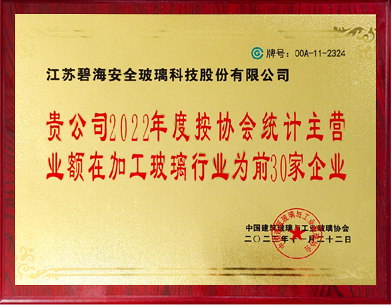 在加工玻璃行業(yè)為前30家企業(yè)